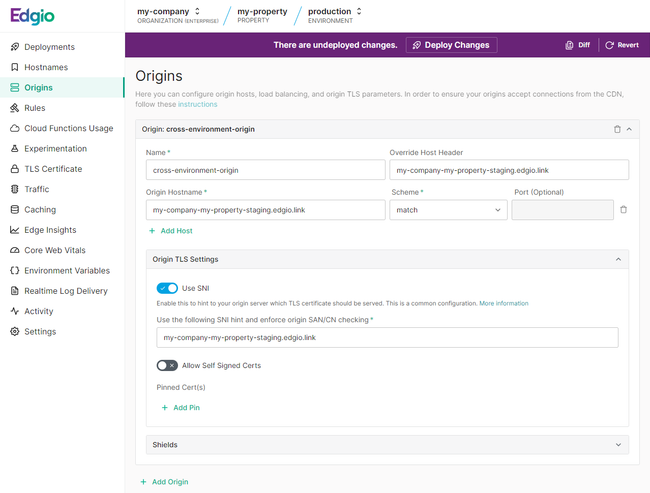 Entry Environment's Origin Configuration