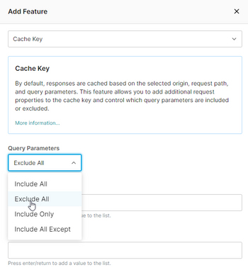 Cache Key feature set to exclude all query string parameters